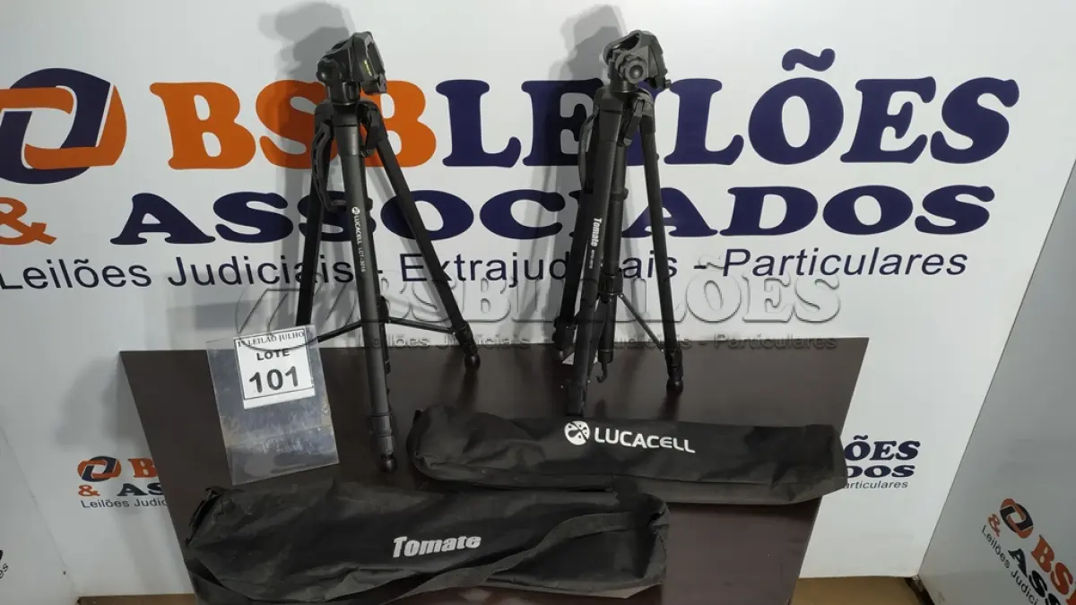 LOTE 101
