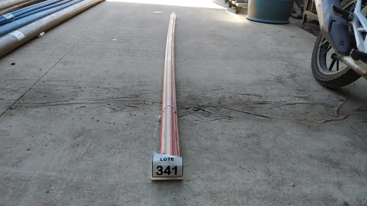 LOTE 341