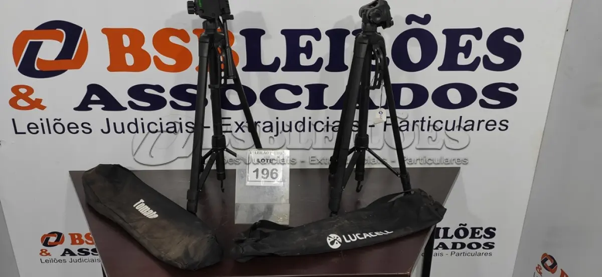 LOTE 196