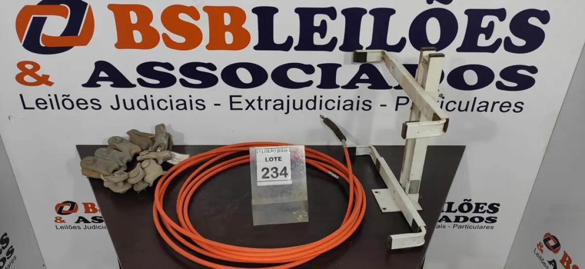 LOTE 234