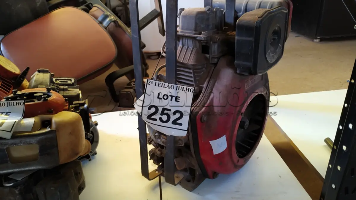 LOTE 252