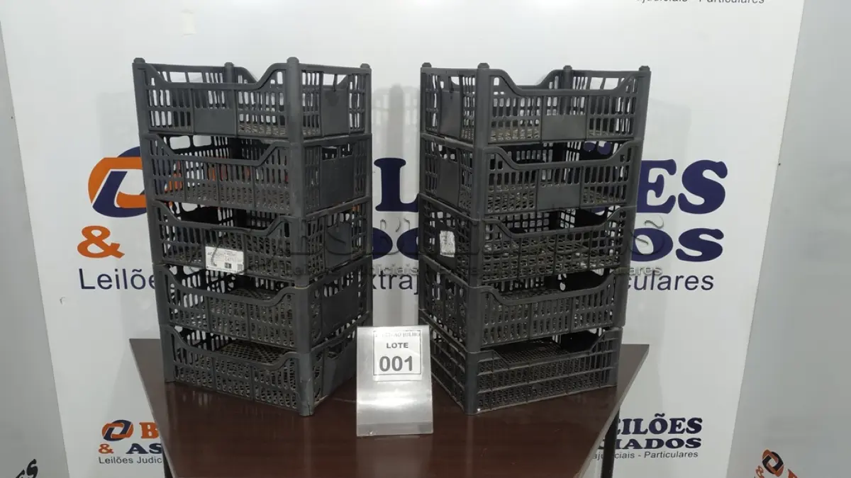 LOTE 001 - 10 CESTAS ORGANIZADORAS. (NO ESTADO) ATENÇÃO! FAZER A VISITAÇÃO ANTES DE ARREMATAR, NÃO SABEMOS SE FUNCIONA, LEILÃO NÃO TEM GARANTIA E NEM DEVOLUÇÃO, SUJEITO A POSSÍVEIS AVARIAS VISÍVEIS/OCULTAS E/OU AUSÊNCIA DE COMPONENTES.