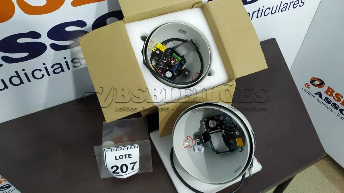 LOTE 207