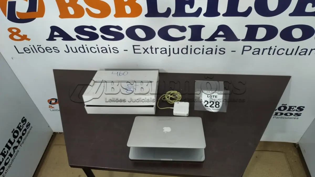 LOTE 228
