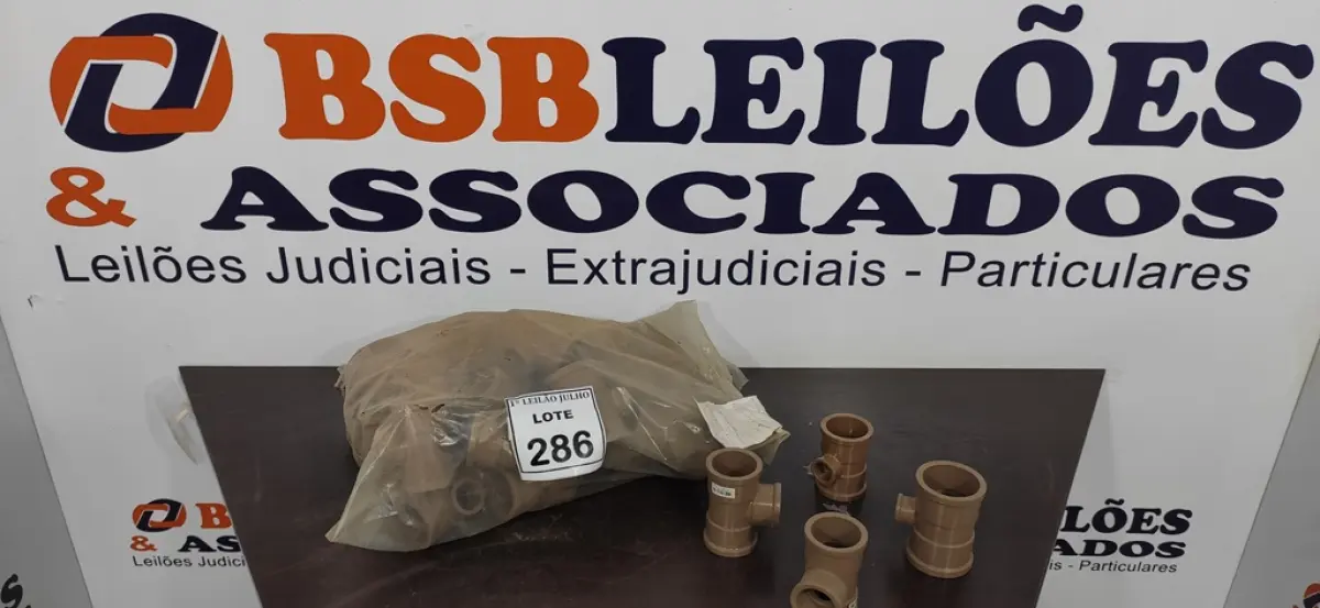 LOTE 286