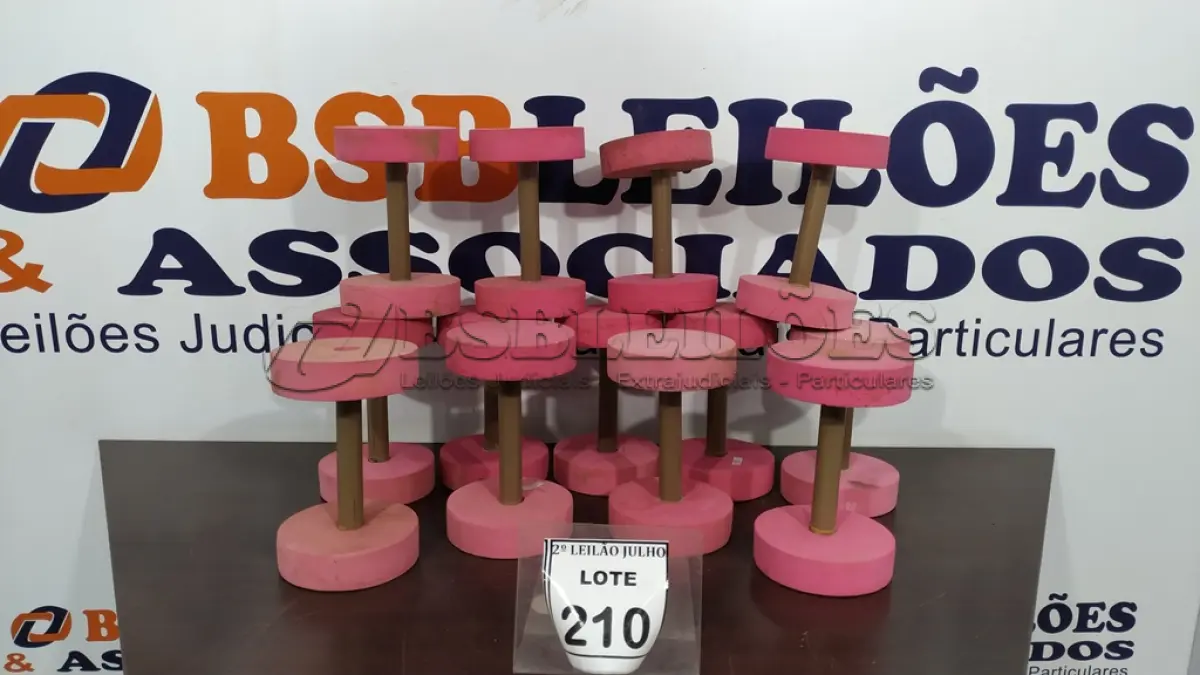 LOTE 210 - 13 HALTERES PARA HIDROGINÁSTICA. (NO ESTADO) ATENÇÃO! FAZER A VISITAÇÃO ANTES DE ARREMATAR, NÃO SABEMOS SE FUNCIONA. LEILÃO NÃO TEM GARANTIA E NEM DEVOLUÇÃO, SUJEITO A POSSÍVEIS AVARIAS VISÍVEIS/OCULTAS E/OU AUSÊNCIA DE COMPONENTES.