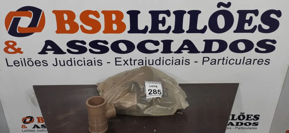 LOTE 285