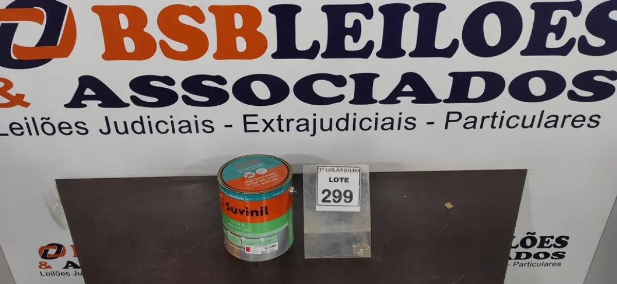 LOTE 299
