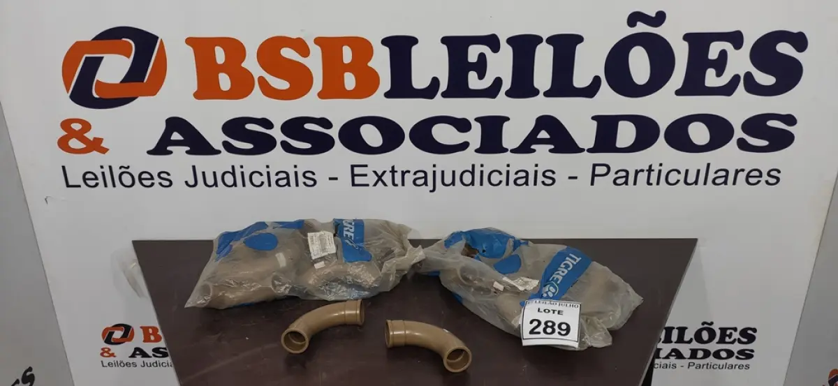 LOTE 289