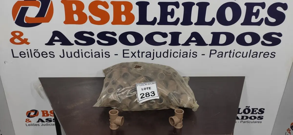 LOTE 283
