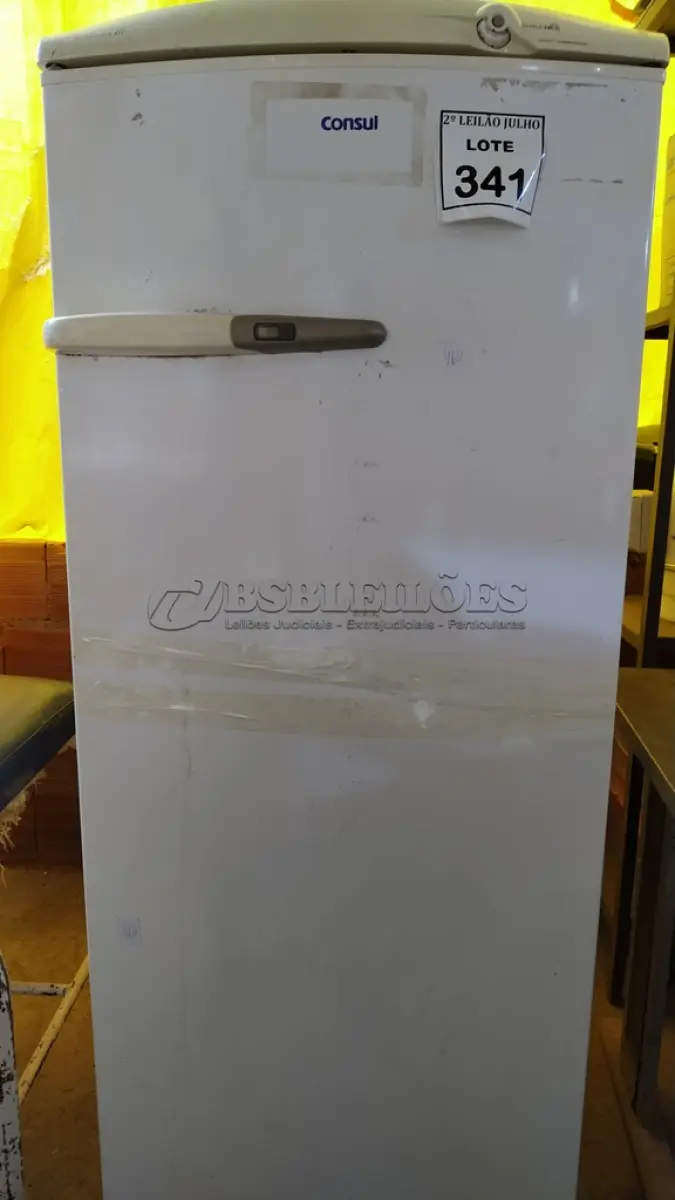 LOTE 341