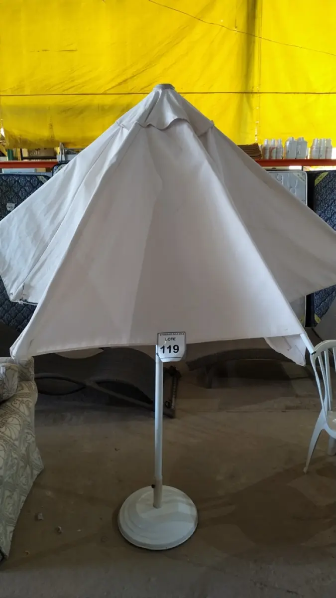 LOTE 119