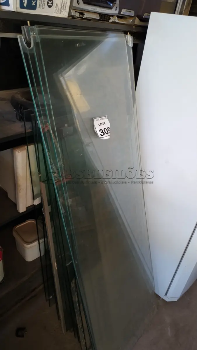 LOTE 309