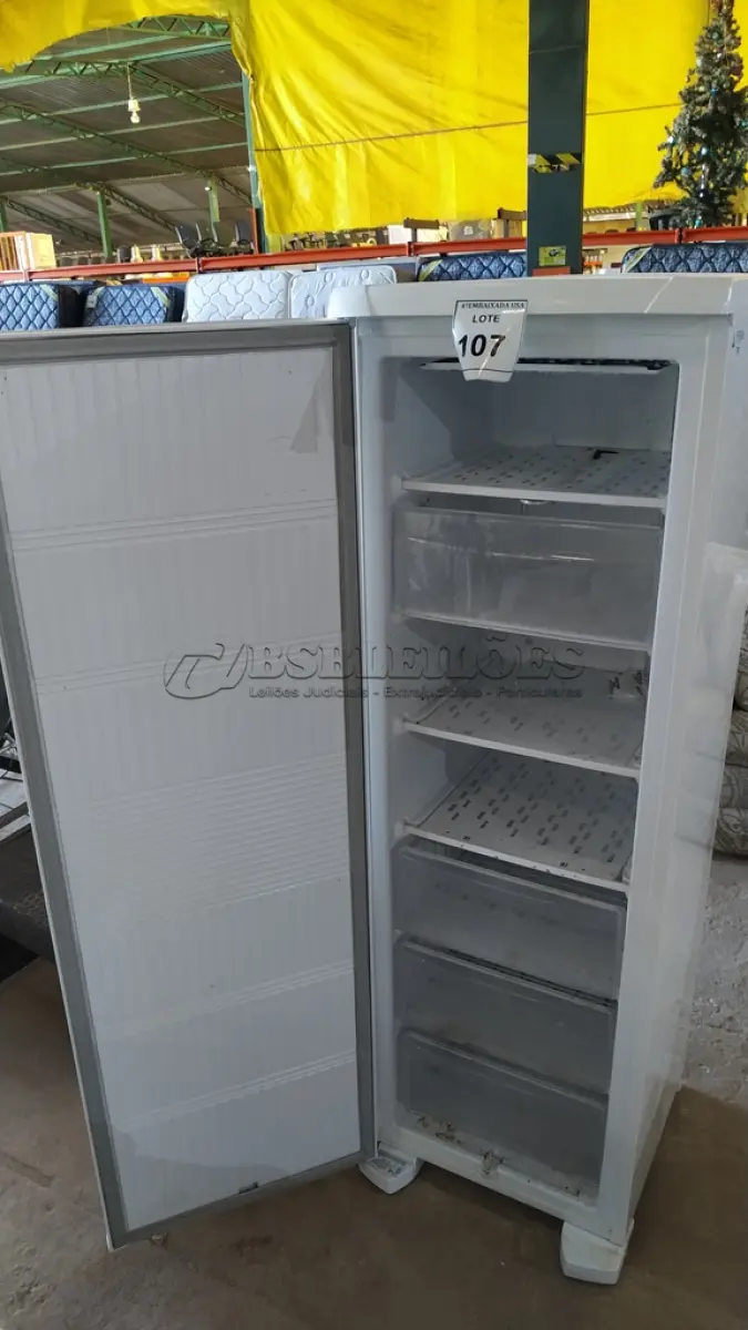 LOTE 107 - 01 FREEZER ELECTROLUX 220V.  (NO ESTADO EM QUE SE ENCONTRA. SUJEITO A AVARIAS OCULTAS/VISÍVEIS.) BF8510B
