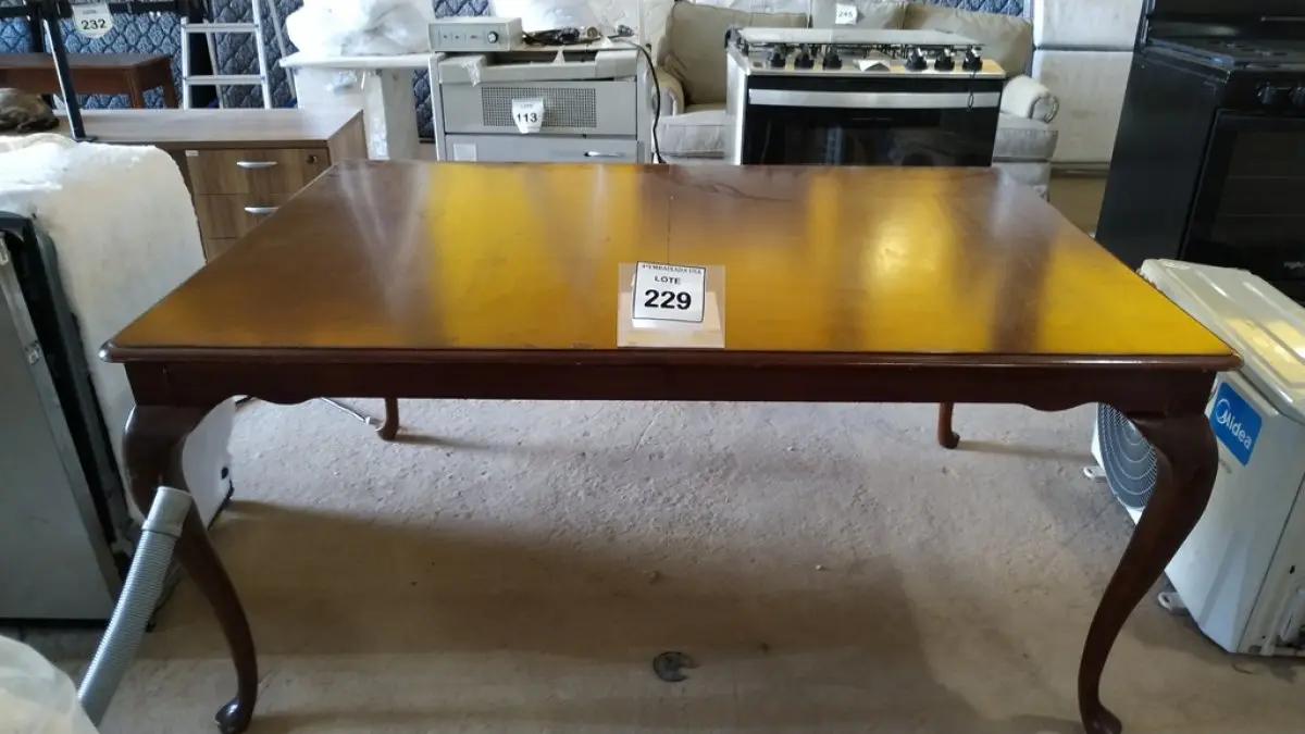 LOTE 229