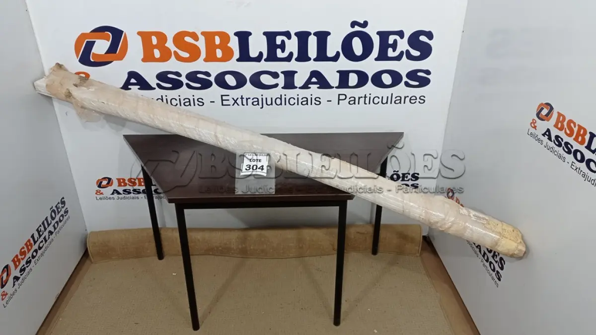 LOTE 304