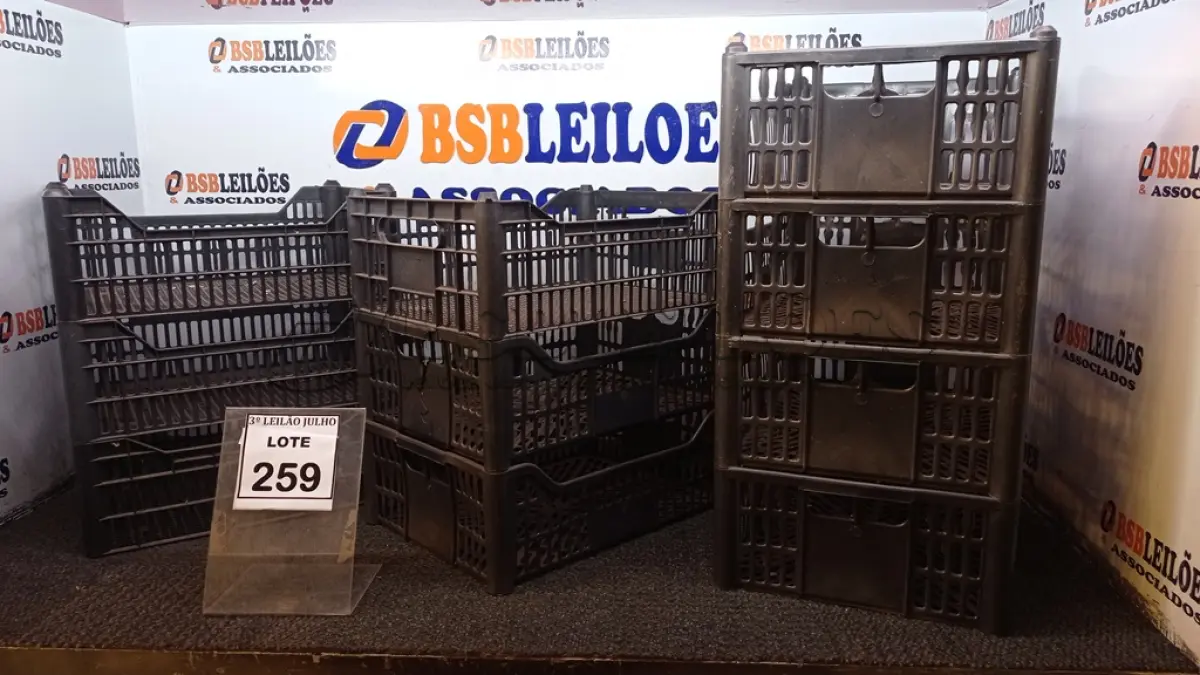LOTE 259