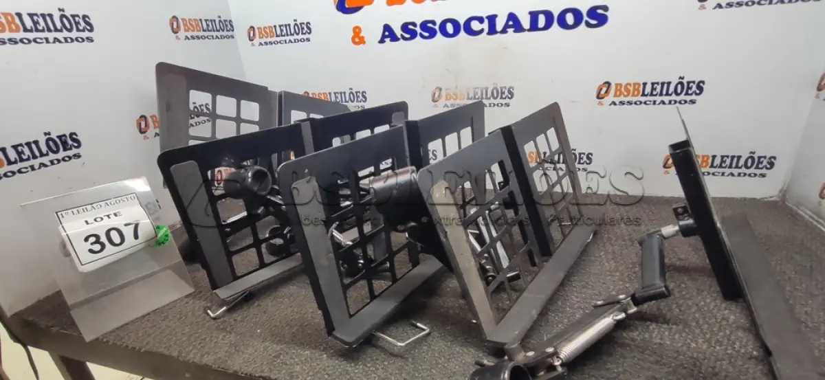 LOTE 307