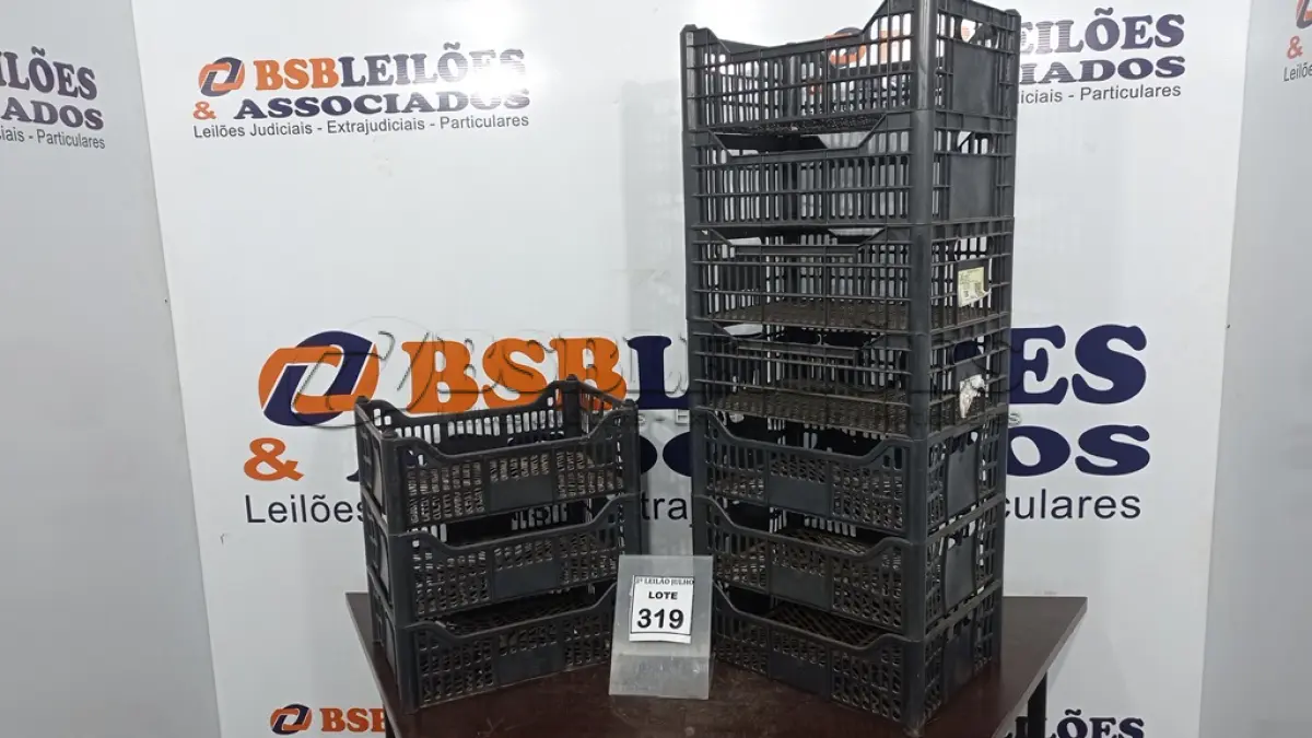 LOTE 319