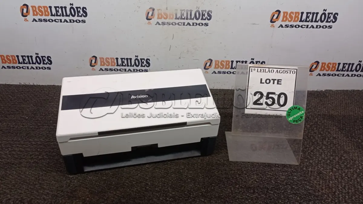 LOTE 250