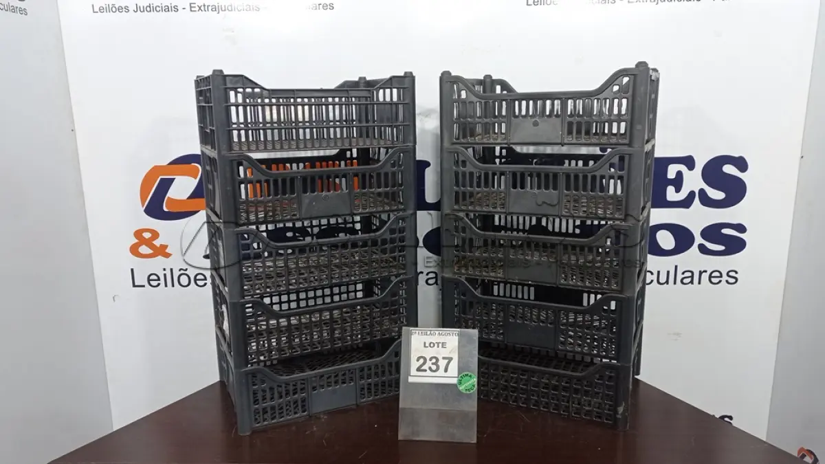LOTE 237 - 10 CESTAS ORGANIZADORAS. (NO ESTADO) ATENÇÃO! FAZER A VISITAÇÃO ANTES DE ARREMATAR, NÃO SABEMOS SE FUNCIONA. LEILÃO NÃO TEM GARANTIA E NEM DEVOLUÇÃO, SUJEITO A POSSÍVEIS AVARIAS VISÍVEIS/OCULTAS E/OU AUSÊNCIA DE COMPONENTES.