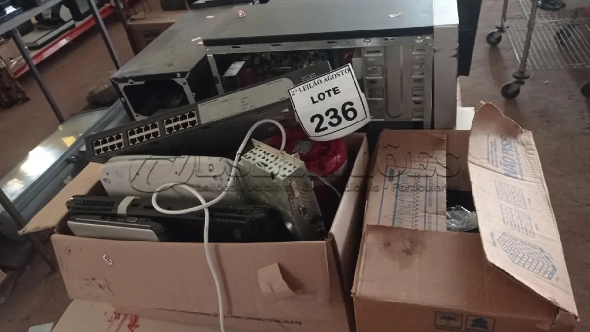LOTE 236