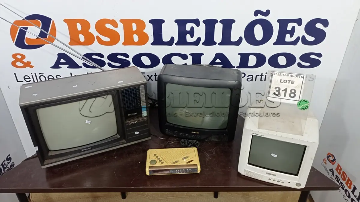 LOTE 318