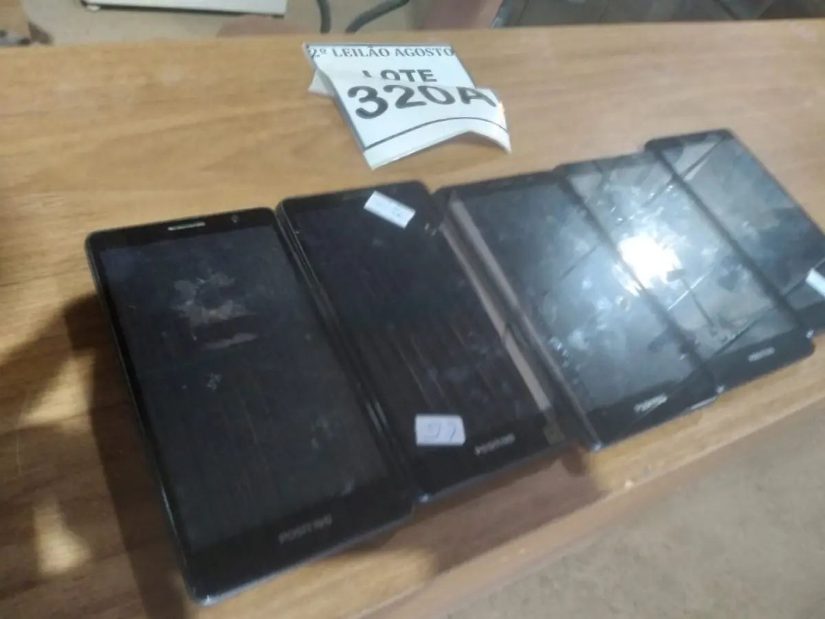 LOTE 320