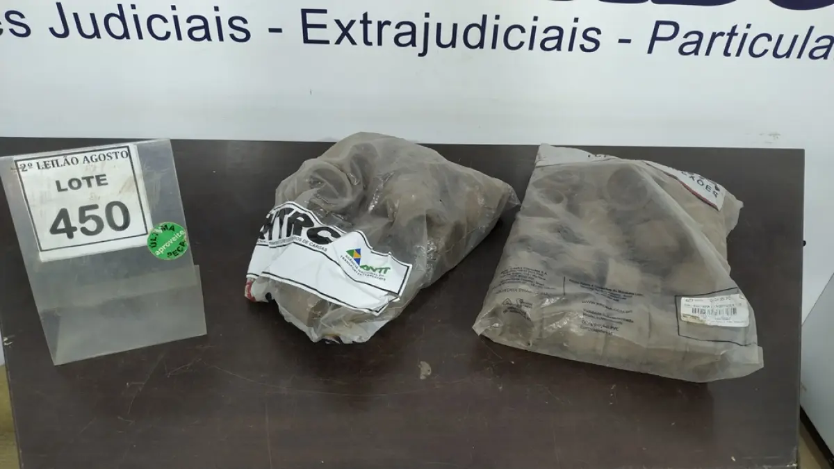 LOTE 450