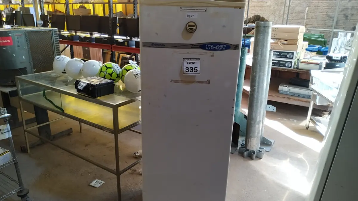 LOTE 335