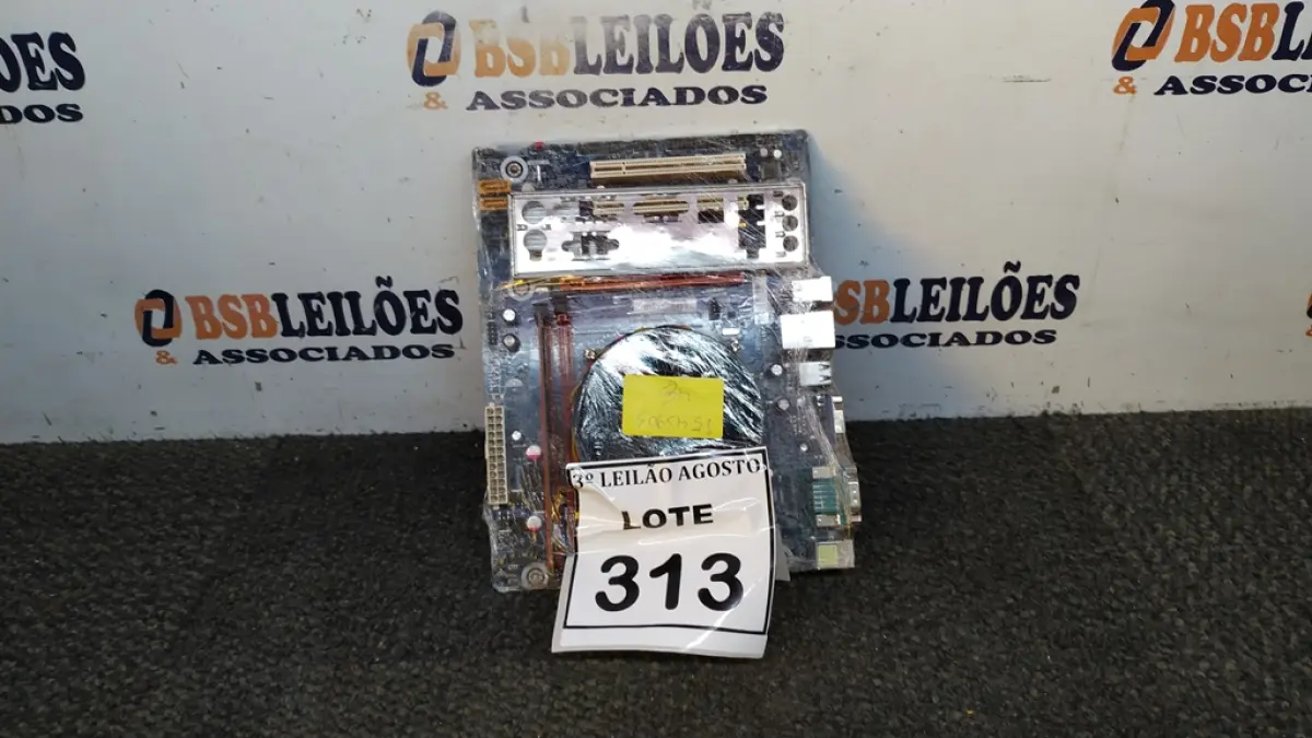 LOTE 313
