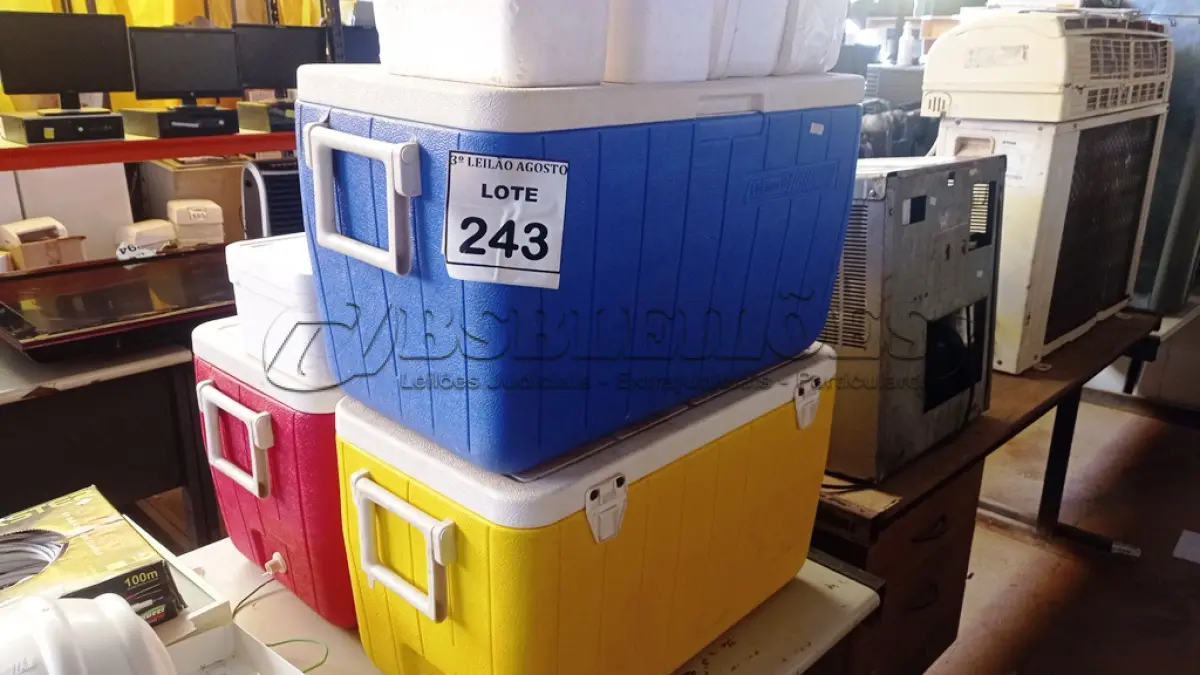 LOTE 243 - 03 CAIXAS TÉRMICAS E 06 CAIXAS DE ISOPORES DE TAMANHOS DIVERSOS. (NO ESTADO) ATENÇÃO! FAZER A VISITAÇÃO ANTES DE ARREMATAR, NÃO SABEMOS SE FUNCIONA, LEILÃO NÃO TEM GARANTIA E NEM DEVOLUÇÃO, SUJEITO A POSSÍVEIS AVARIAS VISÍVEIS/OCULTAS E/OU AUSÊNCIA DE COMPONENTES.
