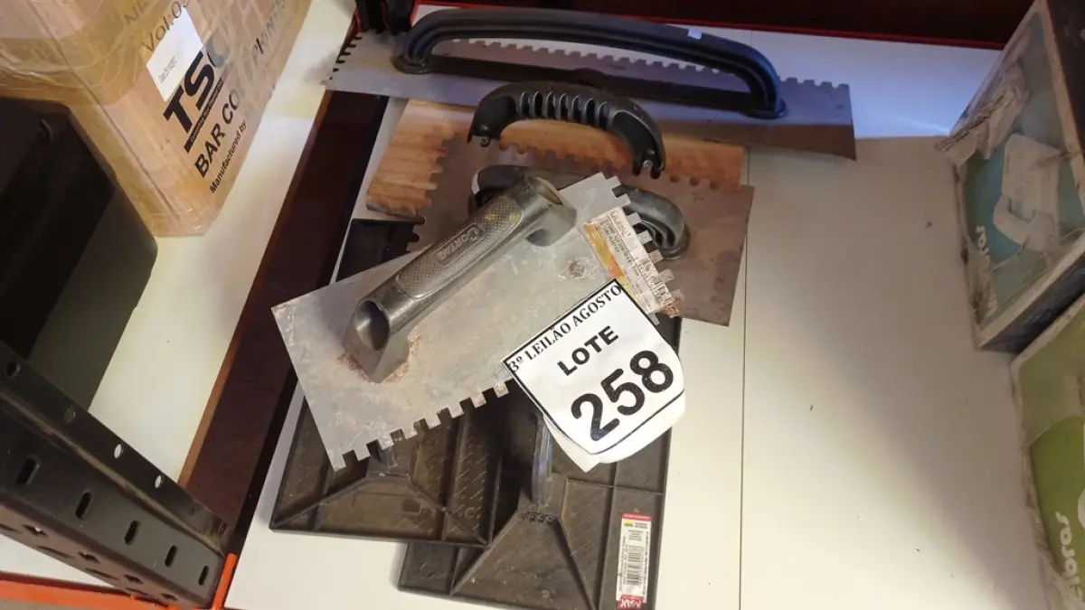 LOTE 258
