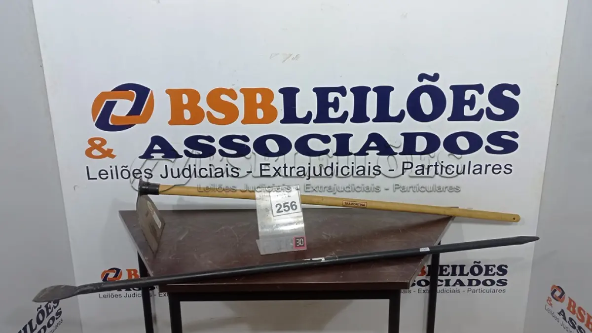 LOTE 256