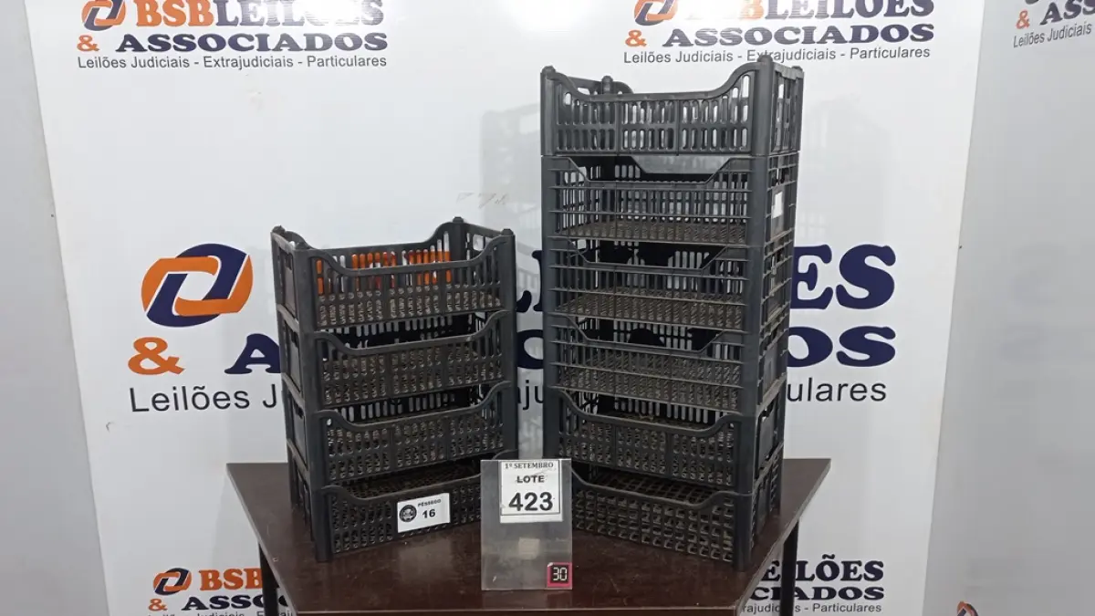 10 CESTAS ORGANIZADORA. (NO ESTADO) ATENÇÃO! FAZER A VISITAÇÃO ANTES DE ARREMATAR, NÃO SABEMOS SE FUNCIONA, LEILÃO NÃO TEM GARANTIA E NEM DEVOLUÇÃO, SUJEITO A POSSÍVEIS AVARIAS VISÍVEIS/OCULTAS E/OU AUSÊNCIA DE COMPONENTES.