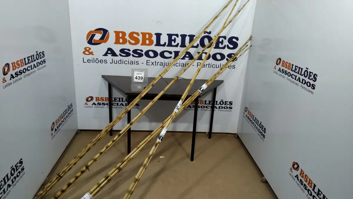 01 LOTE COM VÁRIAS VARAS DE BAMBU. (NO ESTADO) ATENÇÃO! FAZER A VISITAÇÃO ANTES DE ARREMATAR, NÃO SABEMOS SE FUNCIONA, LEILÃO NÃO TEM GARANTIA E NEM DEVOLUÇÃO, SUJEITO A POSSÍVEIS AVARIAS VISÍVEIS/OCULTAS E/OU AUSÊNCIA DE COMPONENTES.
