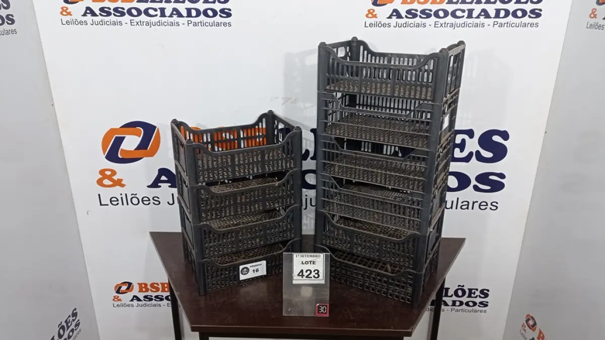 10 CESTAS ORGANIZADORA. (NO ESTADO) ATENÇÃO! FAZER A VISITAÇÃO ANTES DE ARREMATAR, NÃO SABEMOS SE FUNCIONA, LEILÃO NÃO TEM GARANTIA E NEM DEVOLUÇÃO, SUJEITO A POSSÍVEIS AVARIAS VISÍVEIS/OCULTAS E/OU AUSÊNCIA DE COMPONENTES.