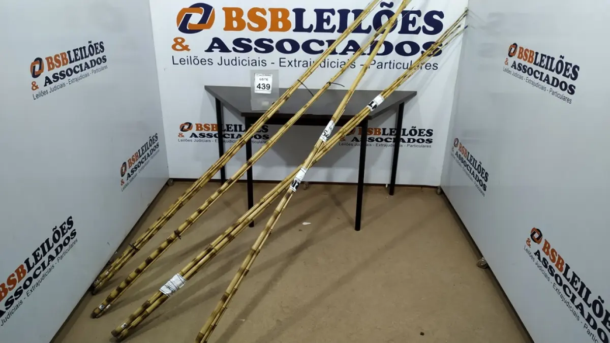 01 LOTE COM VÁRIAS VARAS DE BAMBU. (NO ESTADO) ATENÇÃO! FAZER A VISITAÇÃO ANTES DE ARREMATAR, NÃO SABEMOS SE FUNCIONA, LEILÃO NÃO TEM GARANTIA E NEM DEVOLUÇÃO, SUJEITO A POSSÍVEIS AVARIAS VISÍVEIS/OCULTAS E/OU AUSÊNCIA DE COMPONENTES.