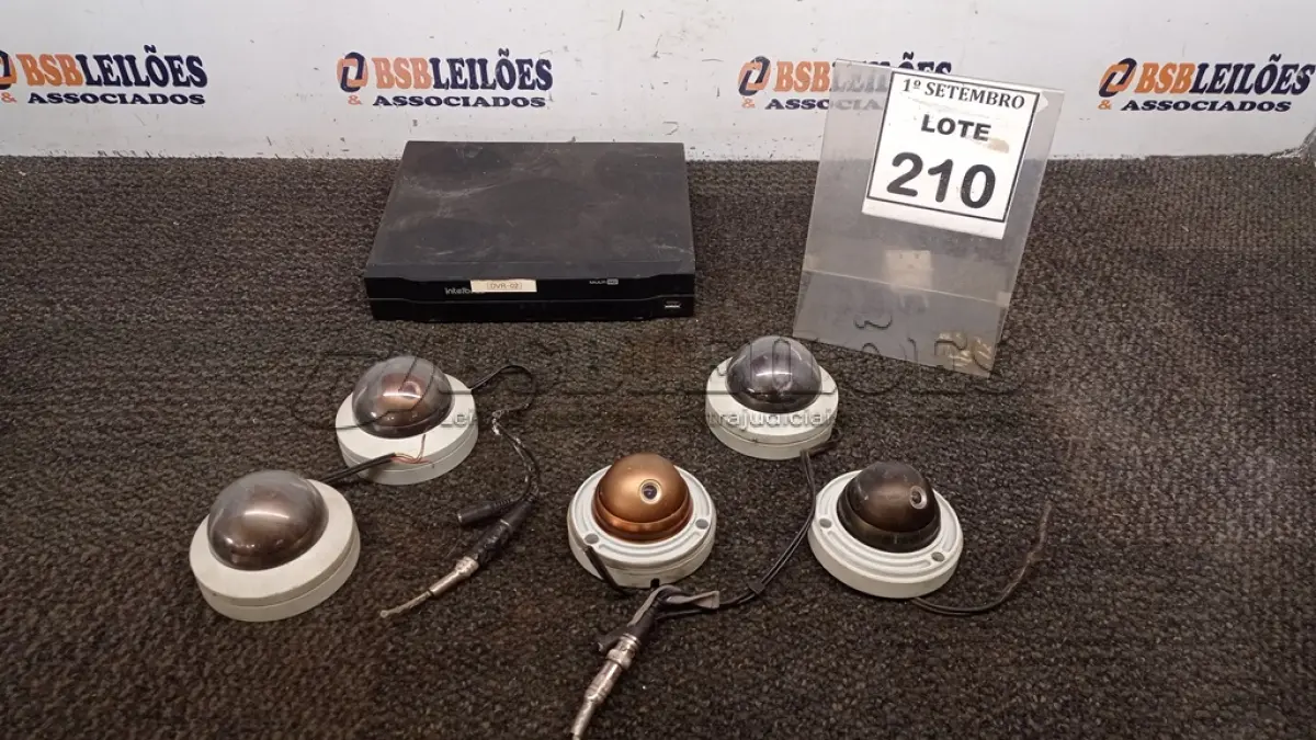 LOTE 210