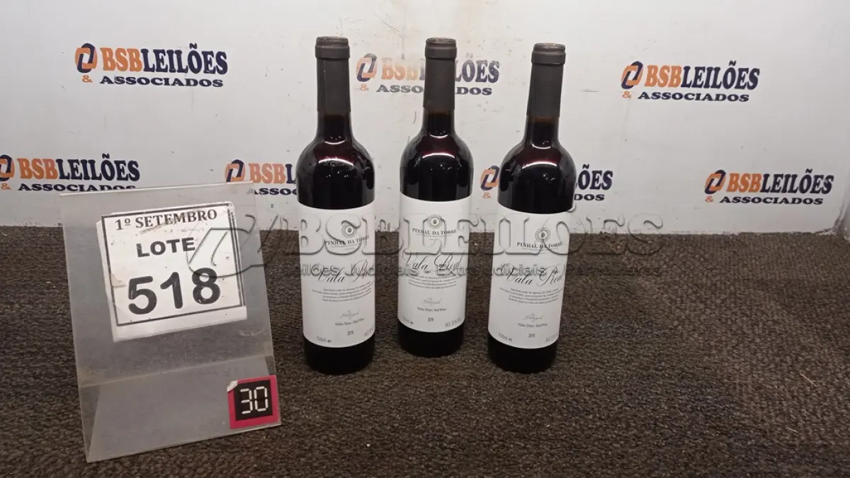 LOTE 518