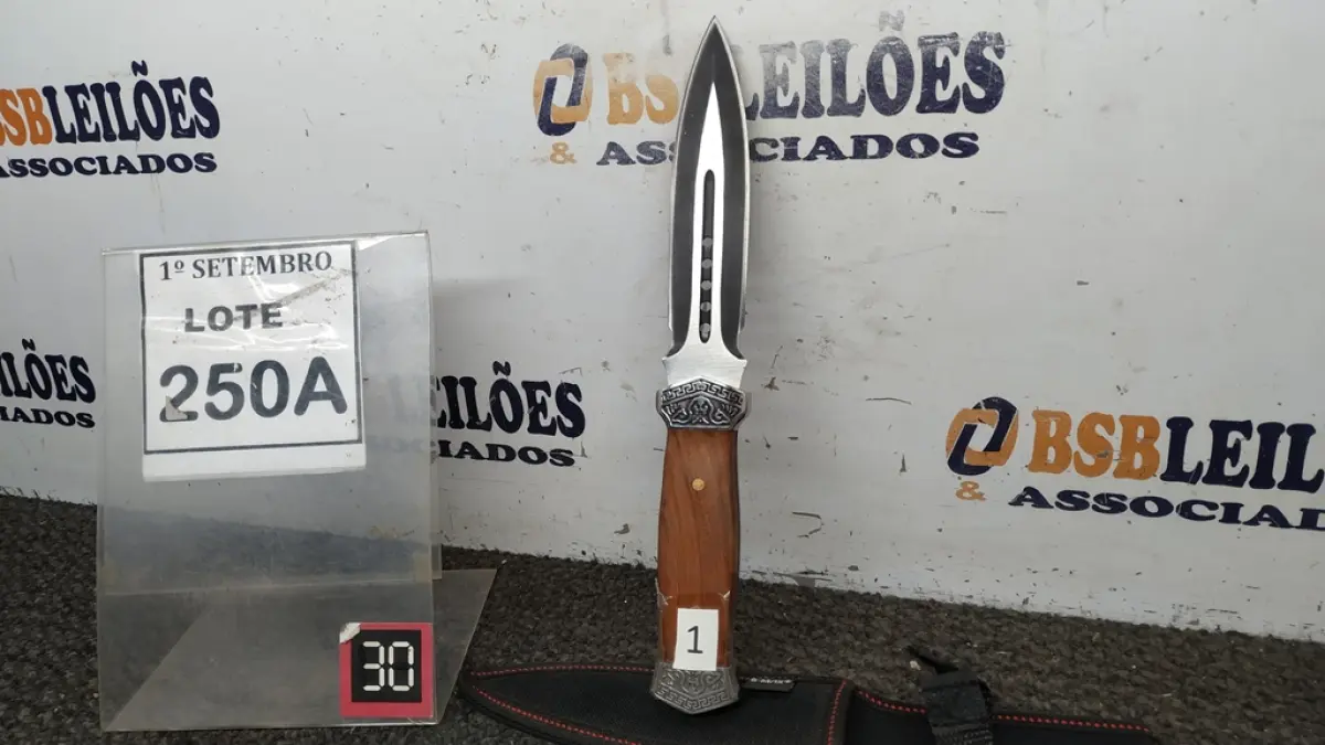 01 PUNHAL IMPORTADA AÇO INOXIDÁVEL CABO EM MADEIRA   FULL TANG BAINHA DE NYLON TAMANHO TOTAL 28CM PESO 288G.  (NO ESTADO) ATENÇÃO! FAZER A VISITAÇÃO ANTES DE ARREMATAR, NÃO SABEMOS SE FUNCIONA. LEILÃO NÃO TEM GARANTIA E NEM DEVOLUÇÃO, SUJEITO A POSSÍVEIS AVARIAS VISÍVEIS/OCULTAS E/OU AUSÊNCIA DE COMPONENTES.