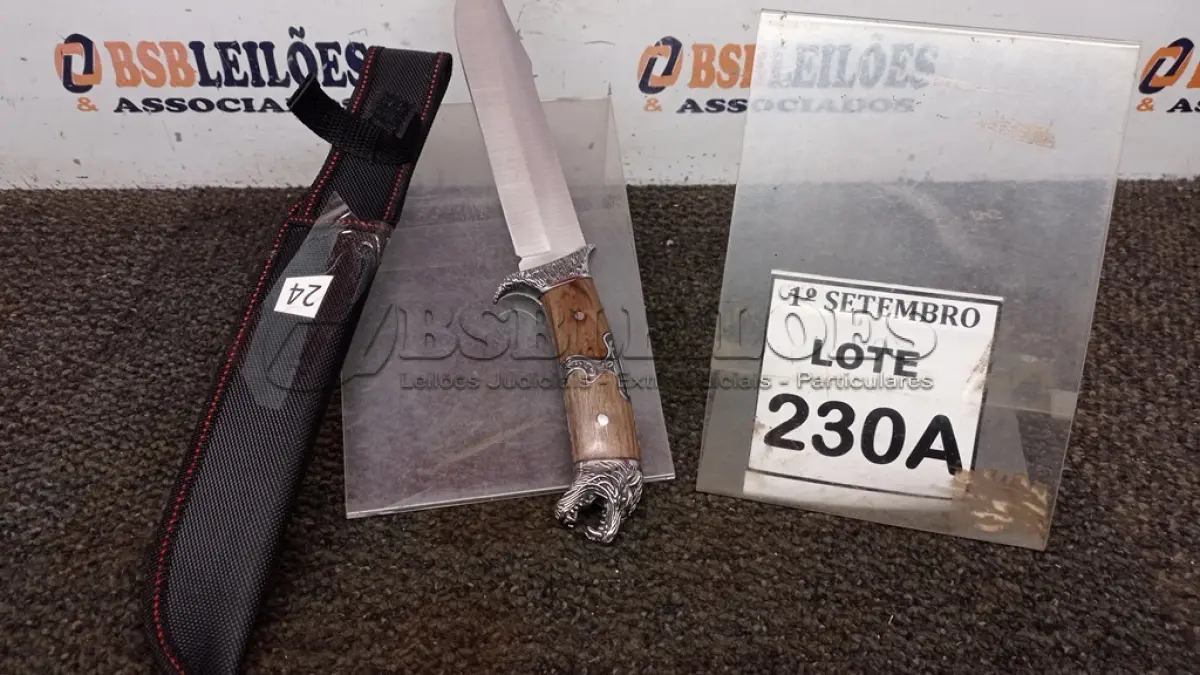 LOTE 230