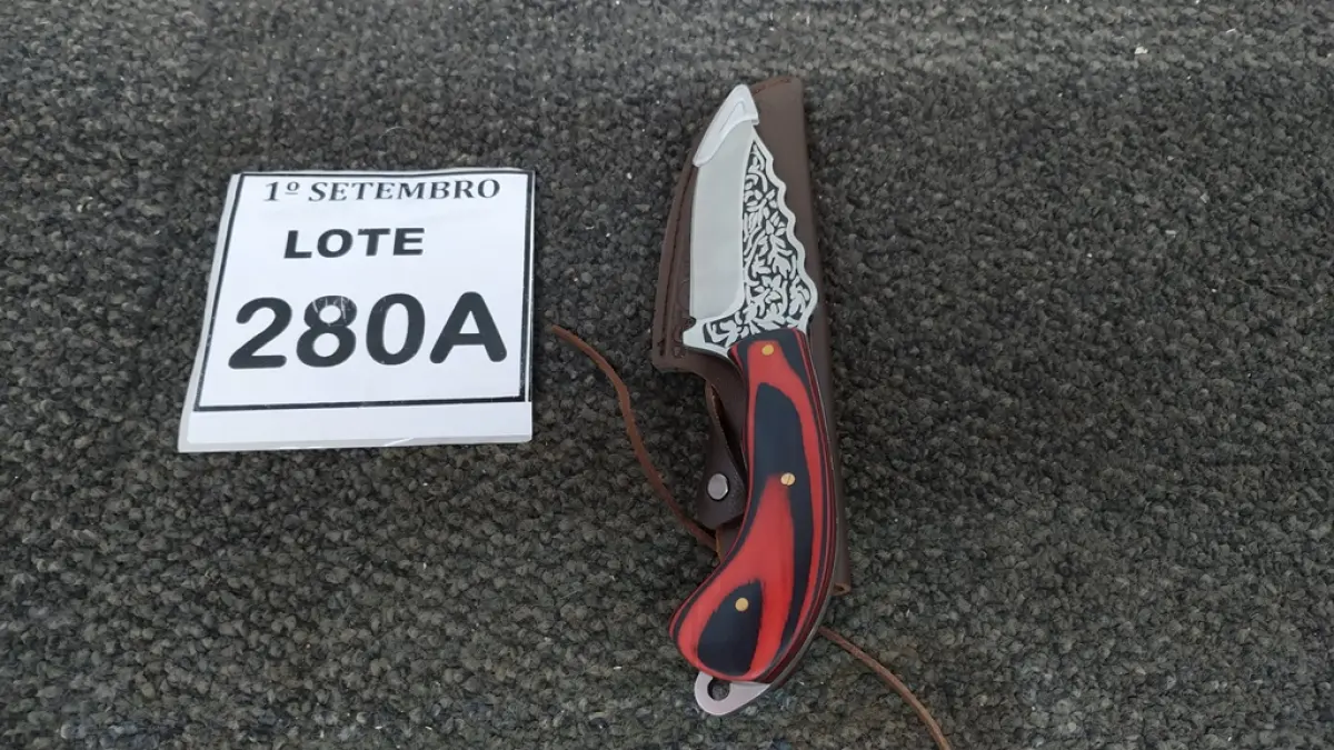01 FACA IMPORTADA 20CM FULL TANG CABO EM MADEIRA BAINHA DE NAPA. (NO ESTADO) ATENÇÃO! FAZER A VISITAÇÃO ANTES DE ARREMATAR, NÃO SABEMOS SE FUNCIONA. LEILÃO NÃO TEM GARANTIA E NEM DEVOLUÇÃO, SUJEITO A POSSÍVEIS AVARIAS VISÍVEIS/OCULTAS E/OU AUSÊNCIA DE COMPONENTES.