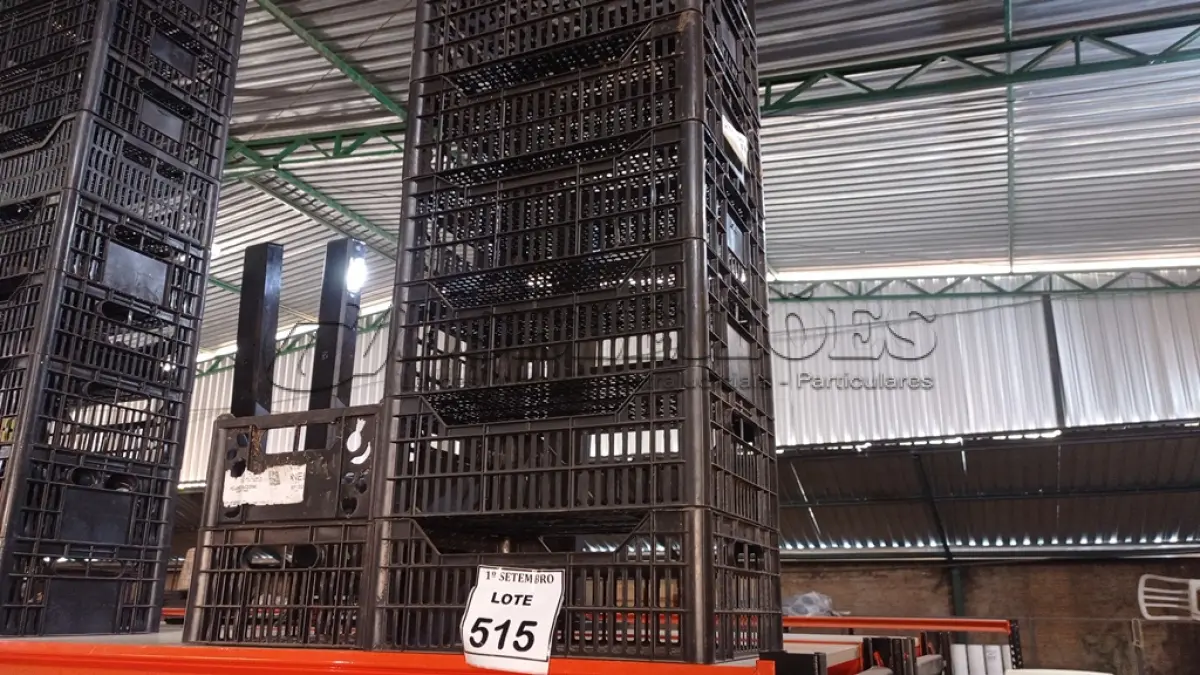 LOTE 515 - 10 CESTAS ORGANIZADORAS. (NO ESTADO) ATENÇÃO! FAZER A VISITAÇÃO ANTES DE ARREMATAR, NÃO SABEMOS SE FUNCIONA, LEILÃO NÃO TEM GARANTIA E NEM DEVOLUÇÃO, SUJEITO A POSSÍVEIS AVARIAS VISÍVEIS/OCULTAS E/OU AUSÊNCIA DE COMPONENTES.