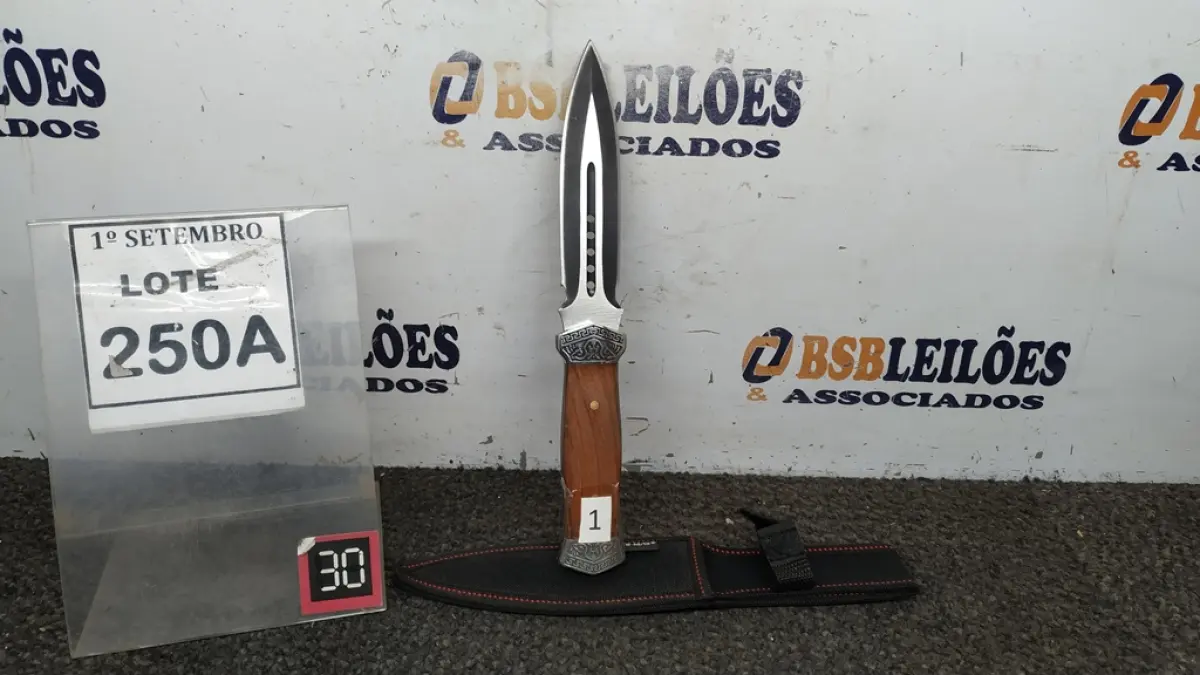 01 PUNHAL IMPORTADA AÇO INOXIDÁVEL CABO EM MADEIRA   FULL TANG BAINHA DE NYLON TAMANHO TOTAL 28CM PESO 288G.  (NO ESTADO) ATENÇÃO! FAZER A VISITAÇÃO ANTES DE ARREMATAR, NÃO SABEMOS SE FUNCIONA. LEILÃO NÃO TEM GARANTIA E NEM DEVOLUÇÃO, SUJEITO A POSSÍVEIS AVARIAS VISÍVEIS/OCULTAS E/OU AUSÊNCIA DE COMPONENTES.