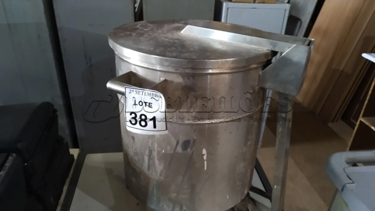 LOTE 381