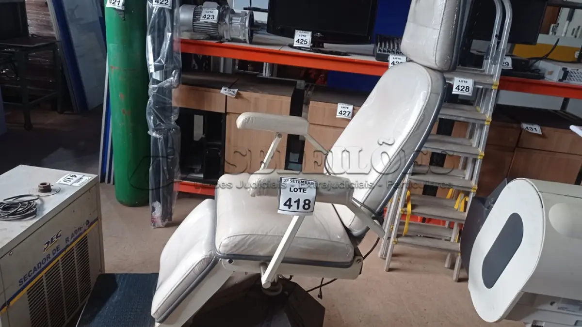 LOTE 418