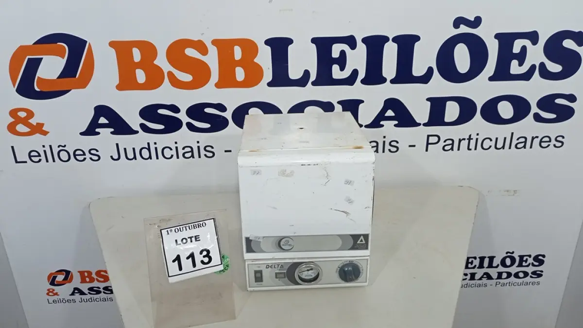 LOTE 113