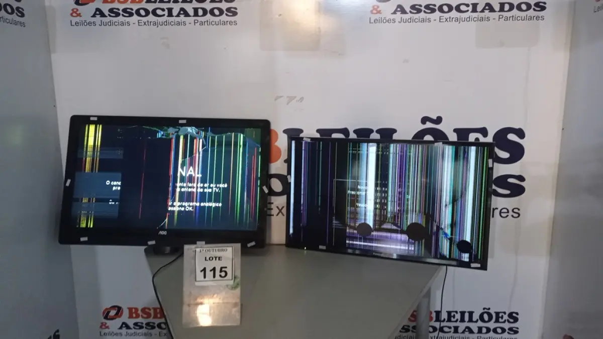 LOTE 115
