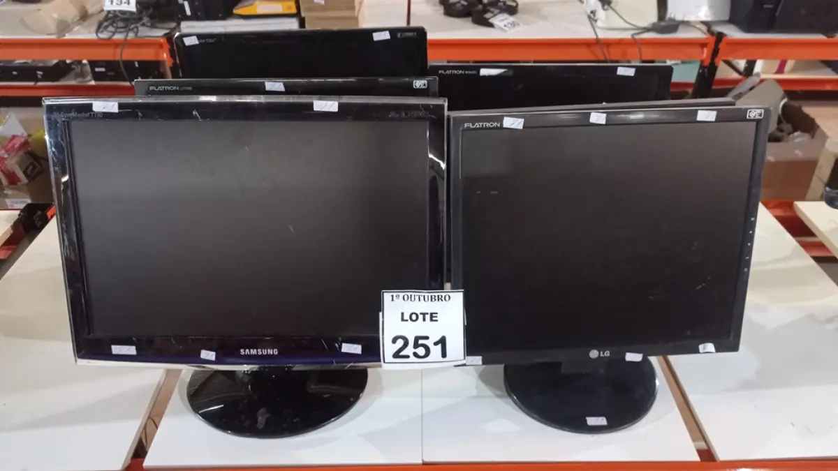 LOTE 251